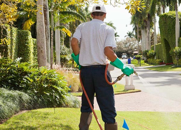 About Harwood MD Pest Control Pros
